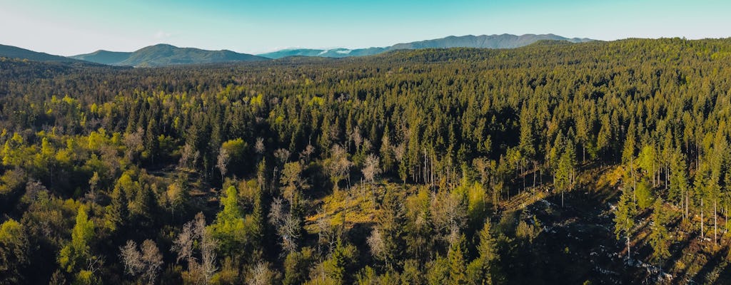 Excursion d'une journée à la vallée de Rakov Škocjan et au parc militaire de Pivka au départ de Bled