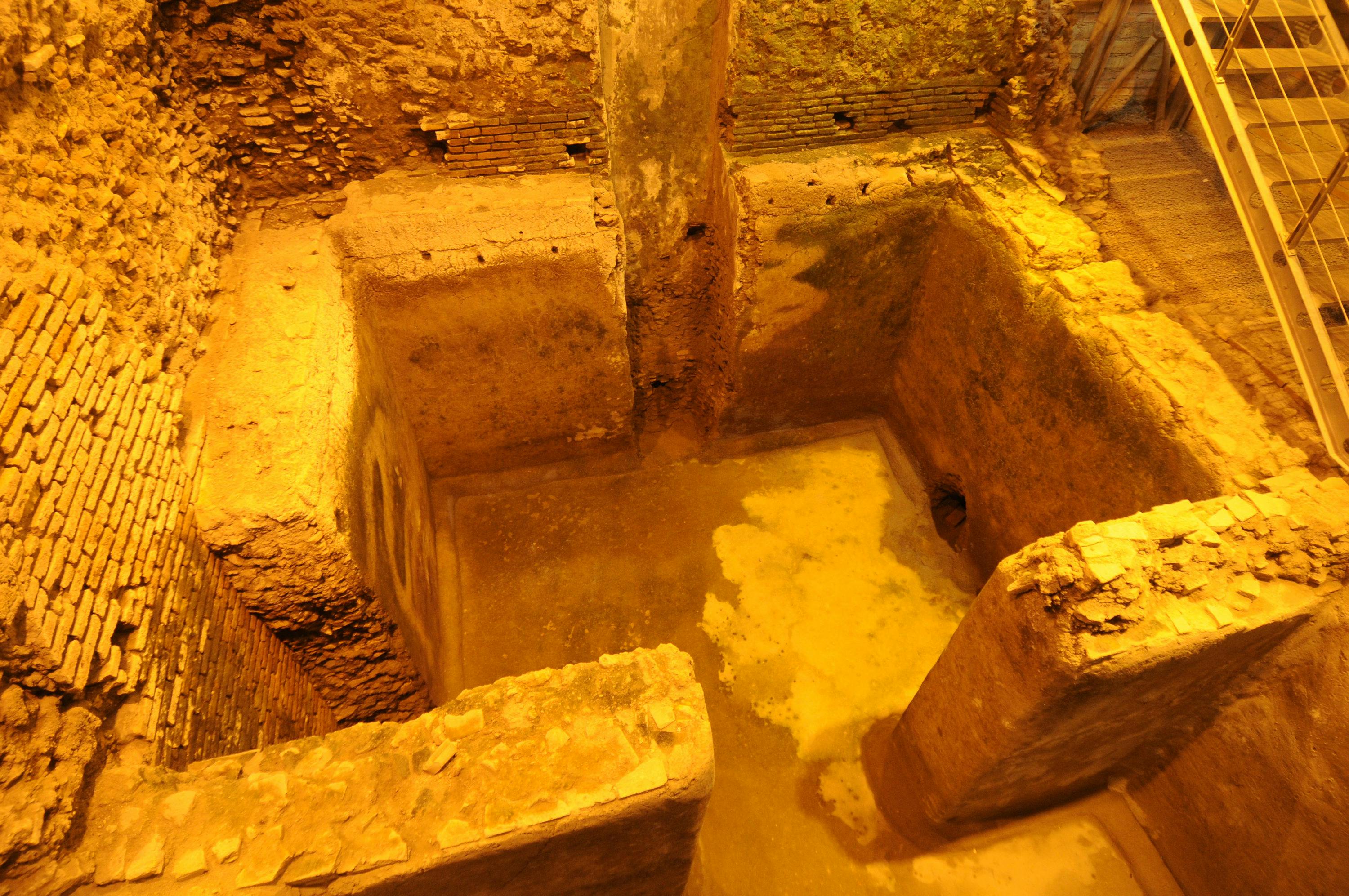 Führung durch den Trevi-Brunnen und die unterirdische Domus