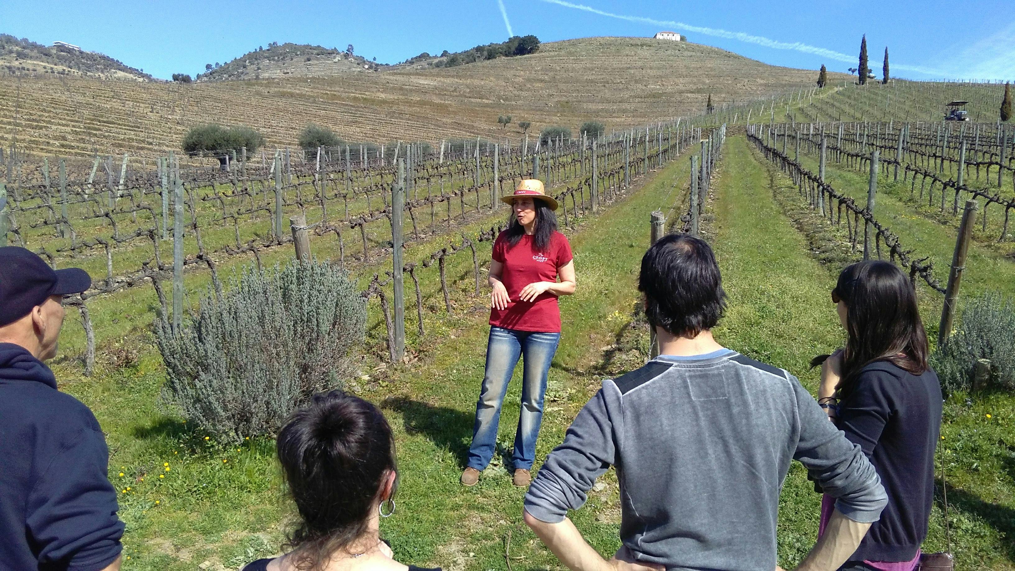 Tour del vino nella valle del Douro: visita a 3 vigneti con pranzo