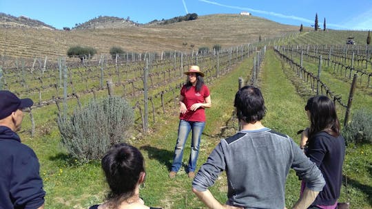 Tour del vino nella valle del Douro: visita a 3 vigneti con pranzo