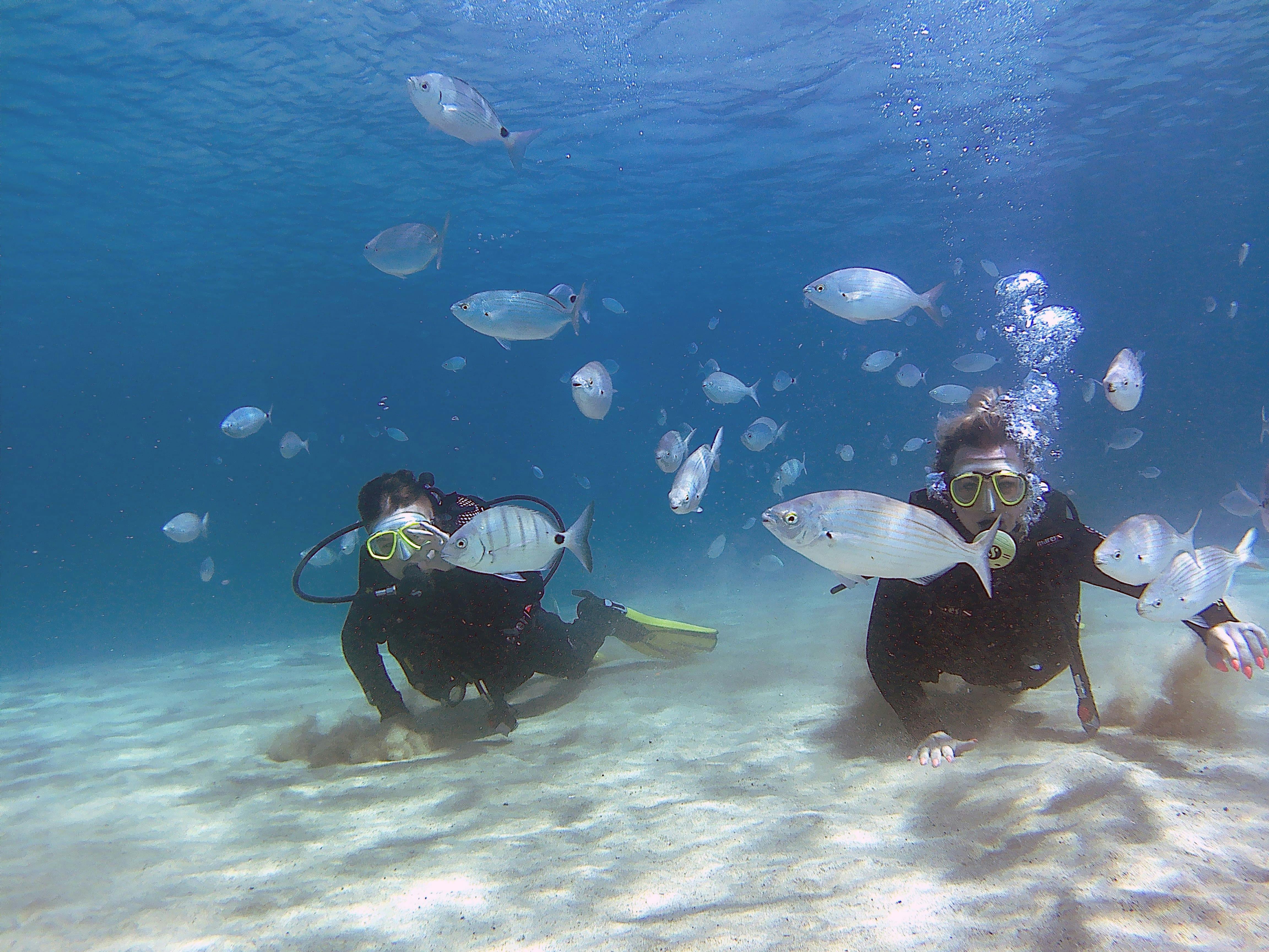 Reduced Mobility Scuba Lesson with Native Diving