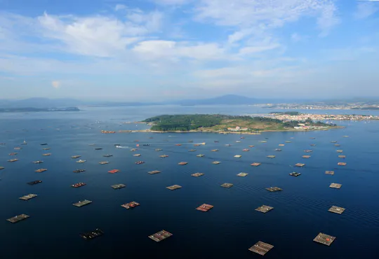 Excursión de día completo en barco a las Rías Baixas desde Santiago