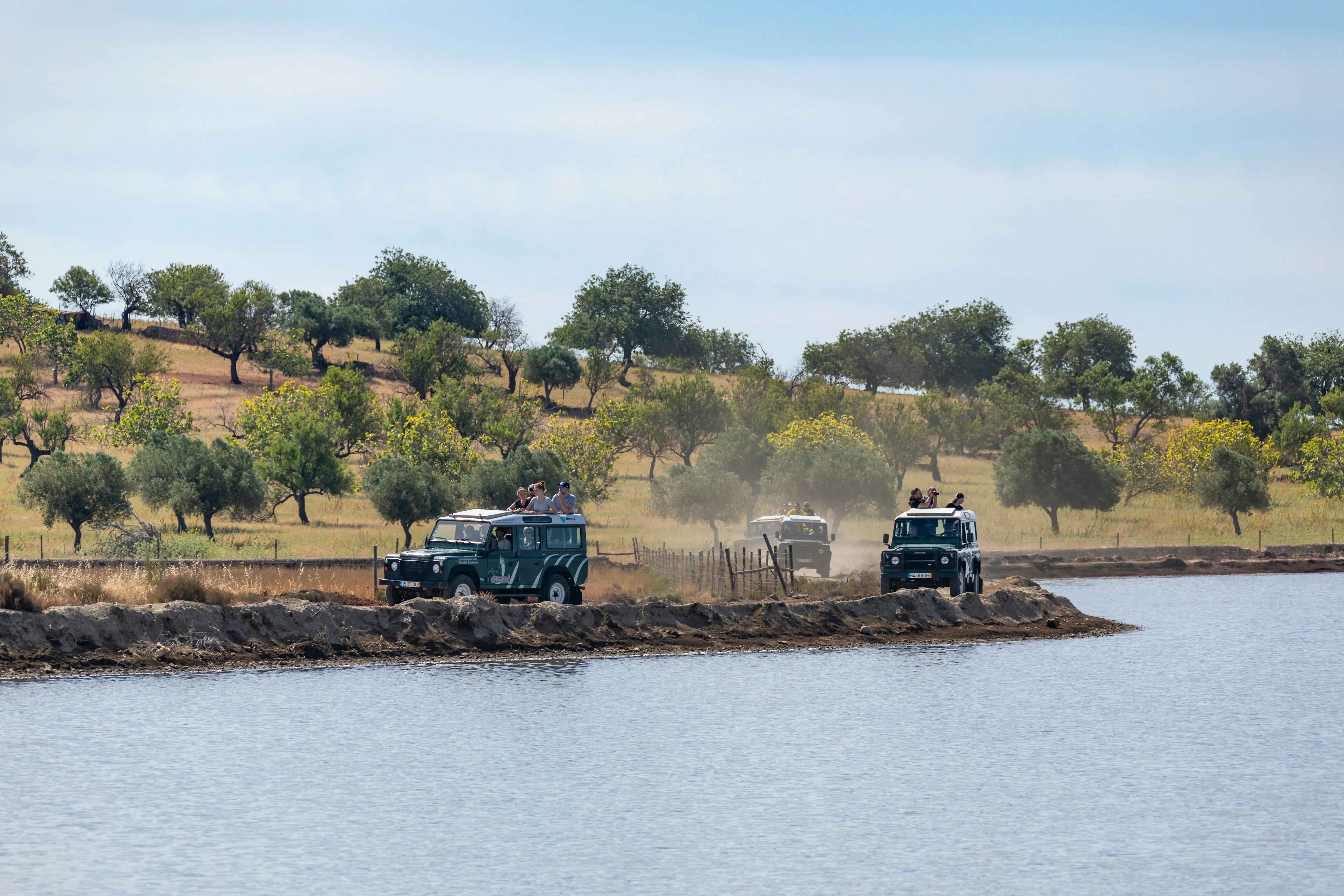 Guadiana Nature Safari Half Day