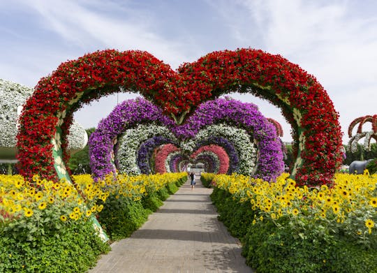 Miracle Garden mit Transfers