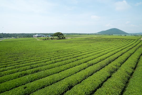 Privétour op het eiland Jeju