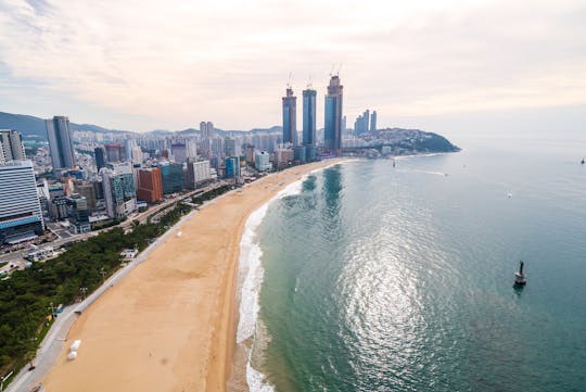 Private guided tour of Busan with best highlights