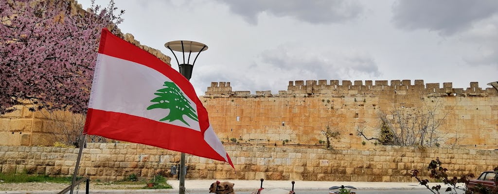 Excursion d'une journée à Baalbak, Ksara et Anjar