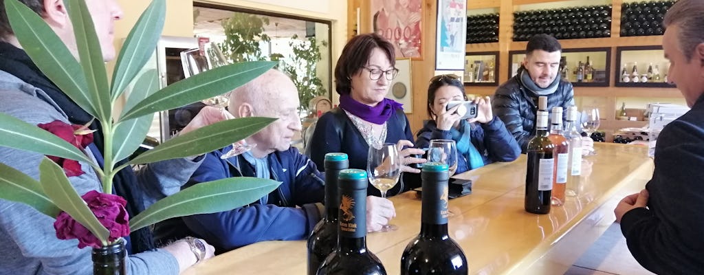 De Bekaa-wijnmakerijen van een hele dag
