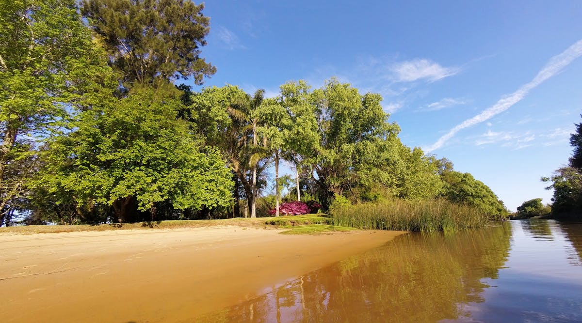 Tigre Delta excursie met kleine groep vanuit Buenos Aires