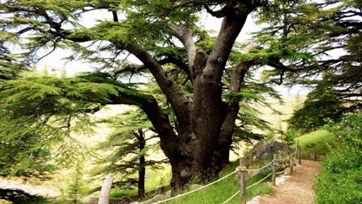 202009085f5773e36ad06.jpg