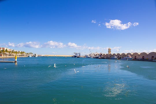 Croisière et excursion en bateau à voile au départ de Gandía