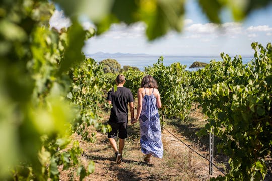 Alrededor de la ruta de la comida y el vino de la bahía