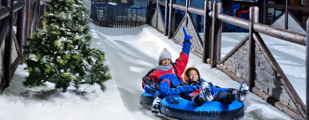 Bilety na Ski Dubai Snow Park