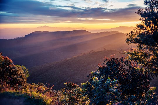 Horton Plains National Park tour from Nuwara Eliya