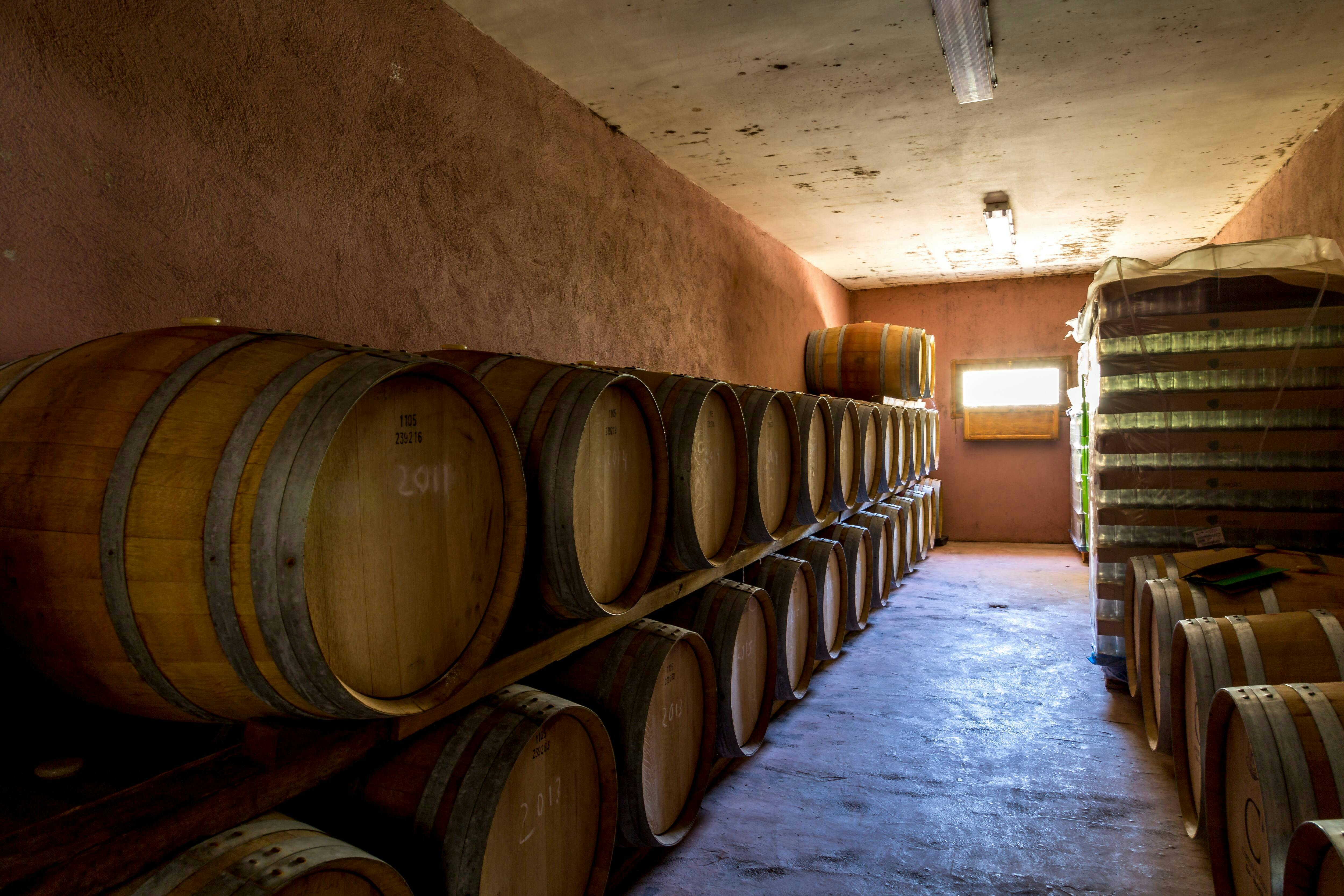 Almeria Wine & Tapas Tour