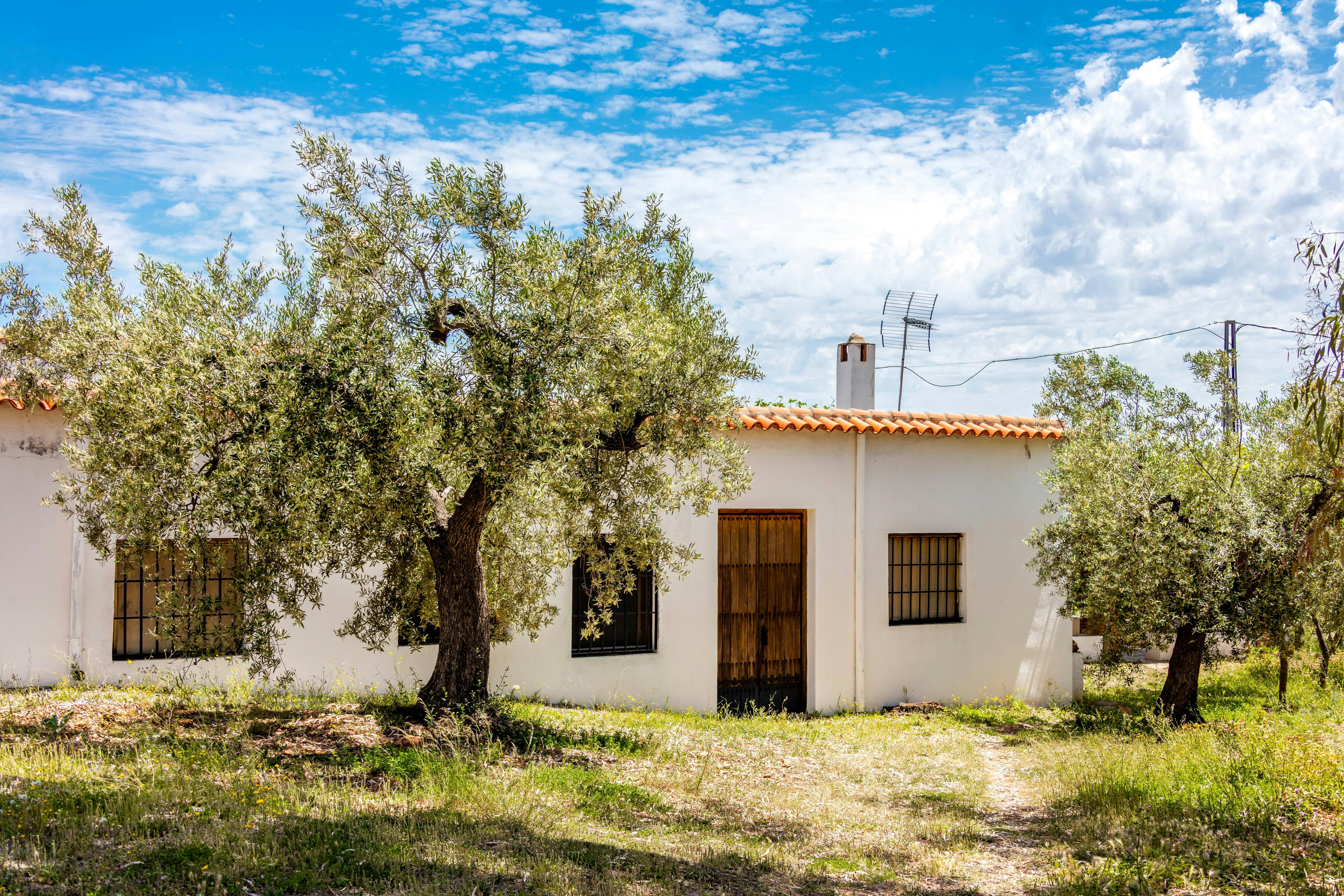 Almeria Wine & Tapas Tour