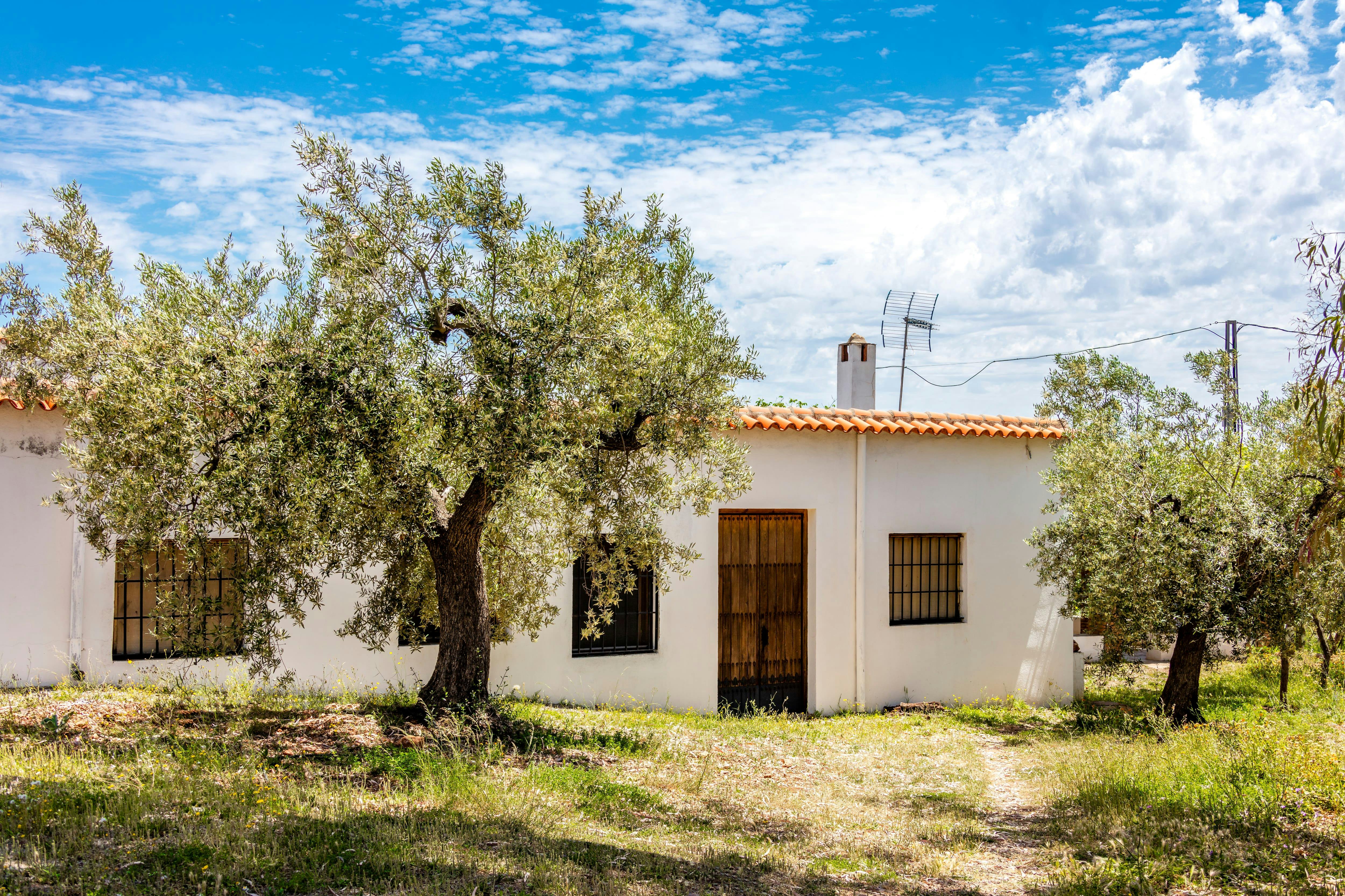 Almeria Wine & Tapas Tour