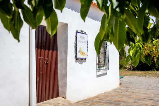 Almeria Wine & Tapas Tour