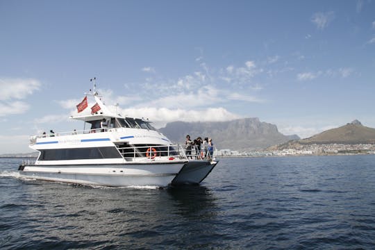 Crucero por la costa de Ciudad del Cabo