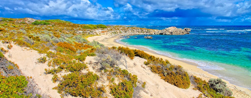 Tour de aventura en Rottnest desde Perth