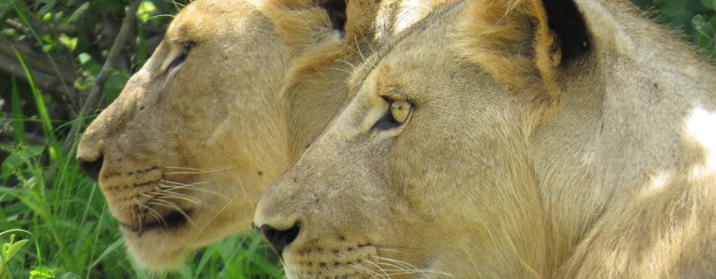 Selous Game Reserve 2-day safari from Zanzibar
