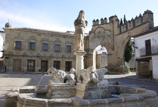 Visita guiada en Baeza con entradas + Taller de Cata de Aceite de Oliva