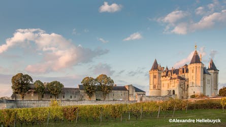Bilhete de entrada para o Castelo de Saumur