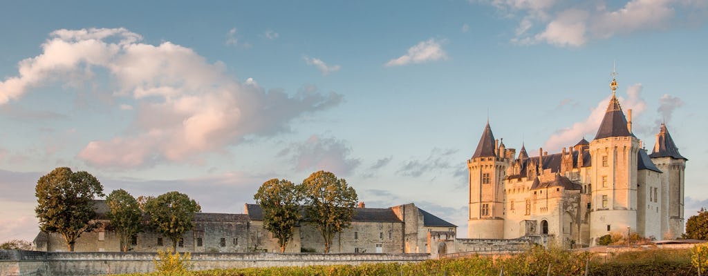 Eintrittskarte zum Schloss von Saumur