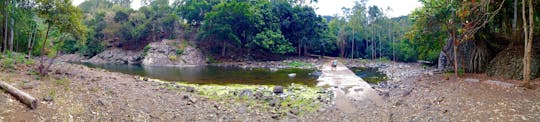 Mauritius Black River Gorges full day trek