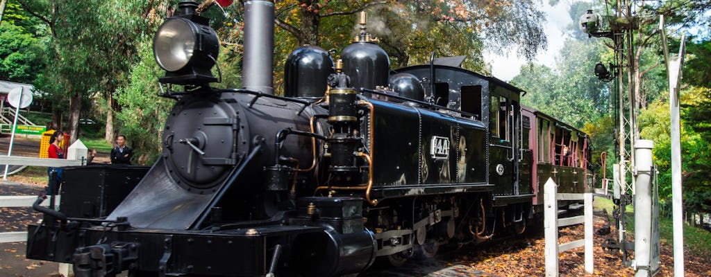 Puffing Billy en Healesville Sanctuary schilderachtige bustour