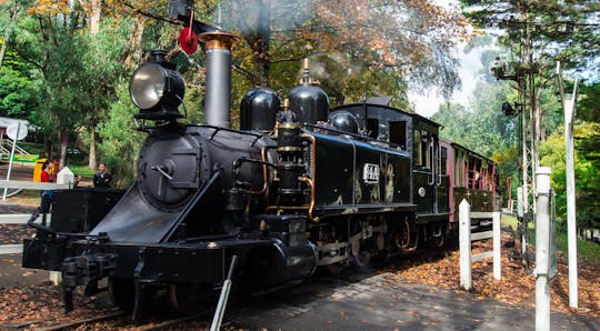 Visite panoramique en bus de Puffing Billy et du sanctuaire d'Healesville