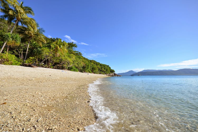 Fitzroy Island adventures half-day tour