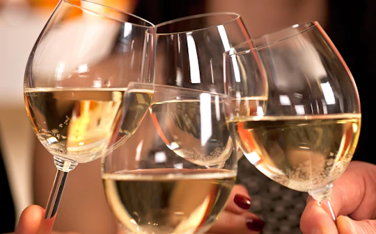 Mornington Peninsula Winery tour with lunch and wine tasting