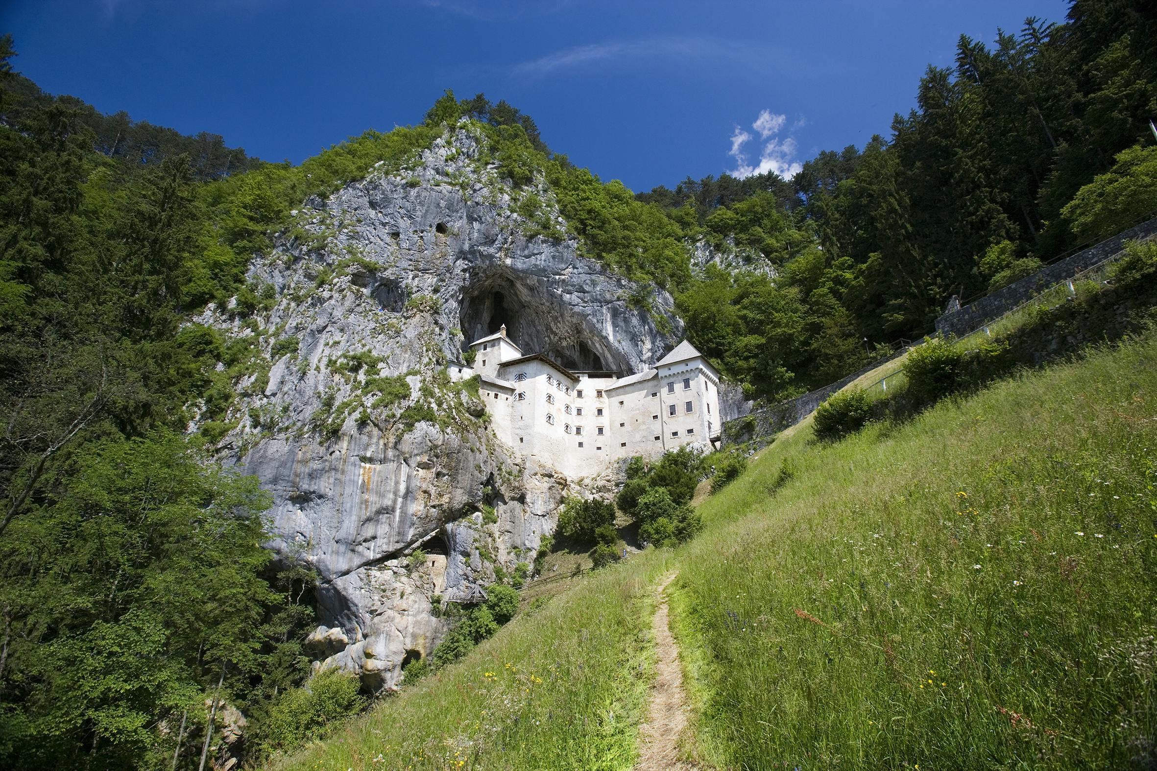 Tour di un giorno alle Grotte di Postumia e al Castello di Predjama da Trieste