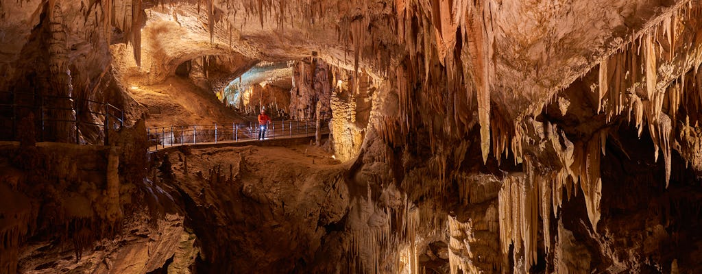 Gita di un giorno alle Grotte di Postumia e al Castello di Predjama da Capodistria