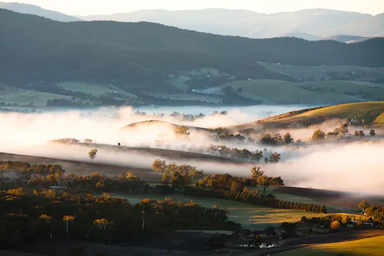 Visite en bus des vignobles de la vallée de Yarra, incluant un déjeuner avec un verre de vin et du chocolat
