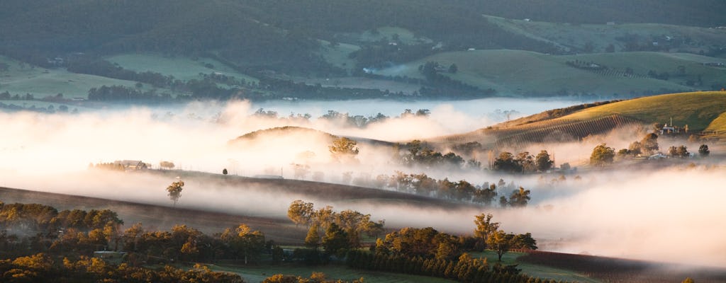 Yarra Valley Bus Wine Tour including lunch with a glass of wine and chocolate