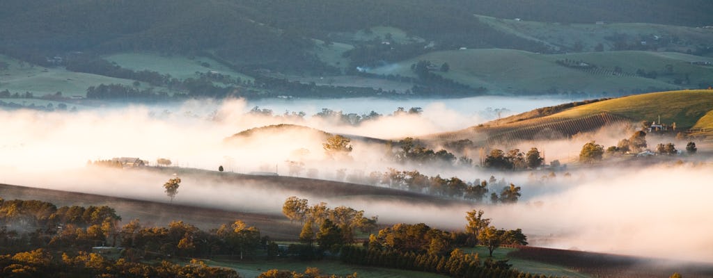 Wycieczka autobusowa po winnicach Yarra Valley, obejmująca lunch z lampką wina i czekoladą