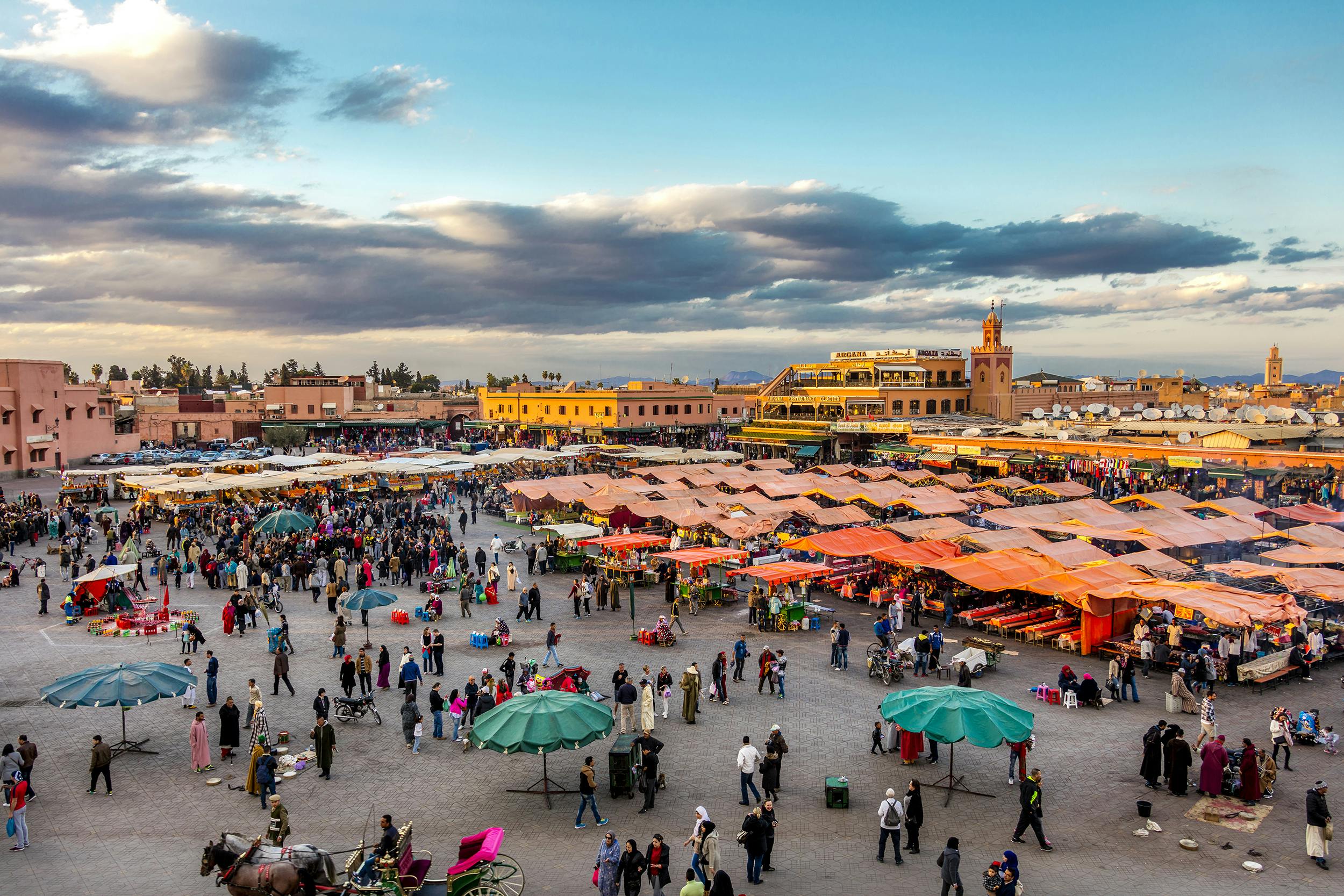 Magiczna wycieczka do Marrakeszu z Agadiru