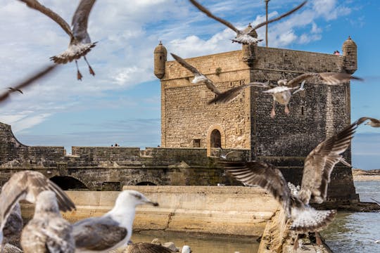 Essaouira en zijn Medina-tour