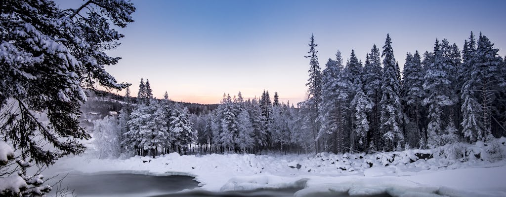 Guided winter nature tour in Storforsen