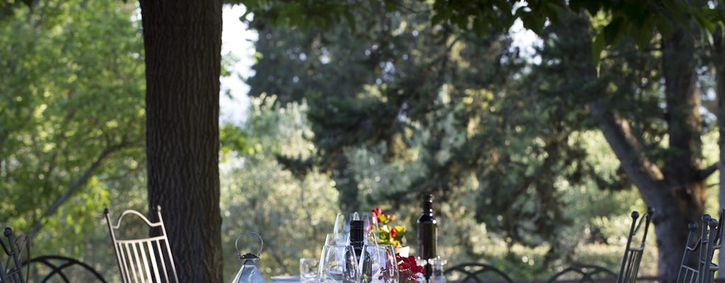 Experiencia de vino y comida en Castello di Fonterutoli