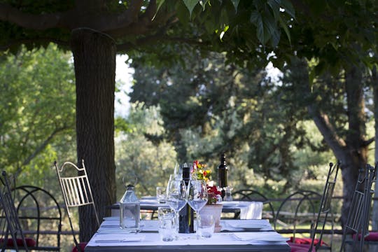 Wine and food experience at Castello di Fonterutoli