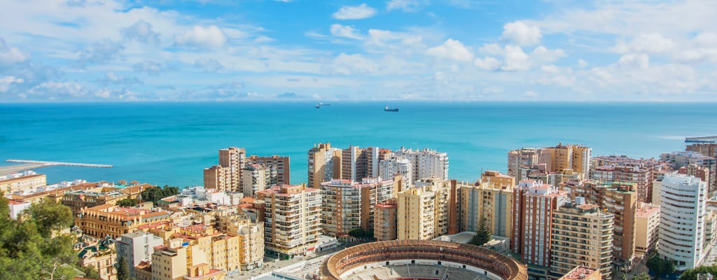 Visite à vélo privée à Málaga avec dégustation de spécialités locales