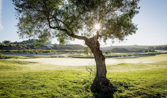 Montecastillo Barcelo Golf Course