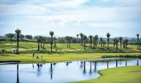 Campo da golf Royal Palm
