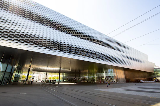 Explore Basel's art and culture with a local