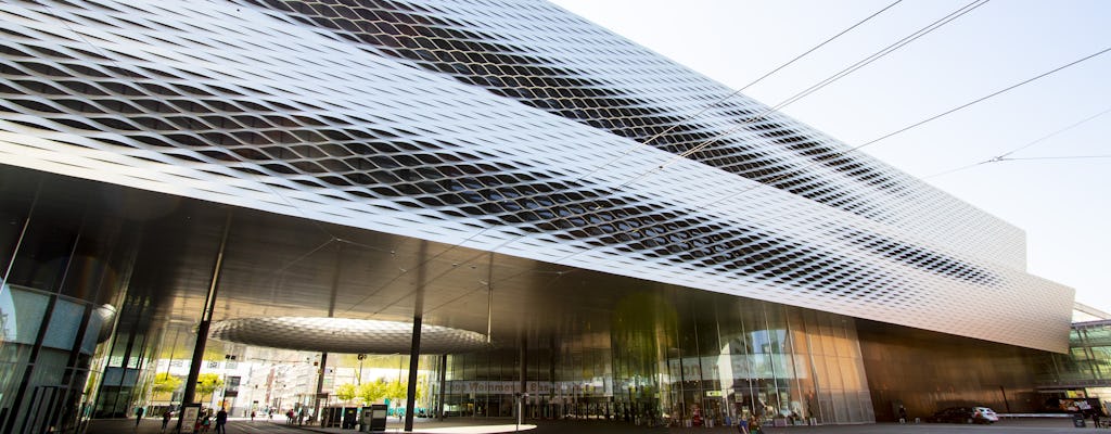 Explore Basel's art and culture with a local
