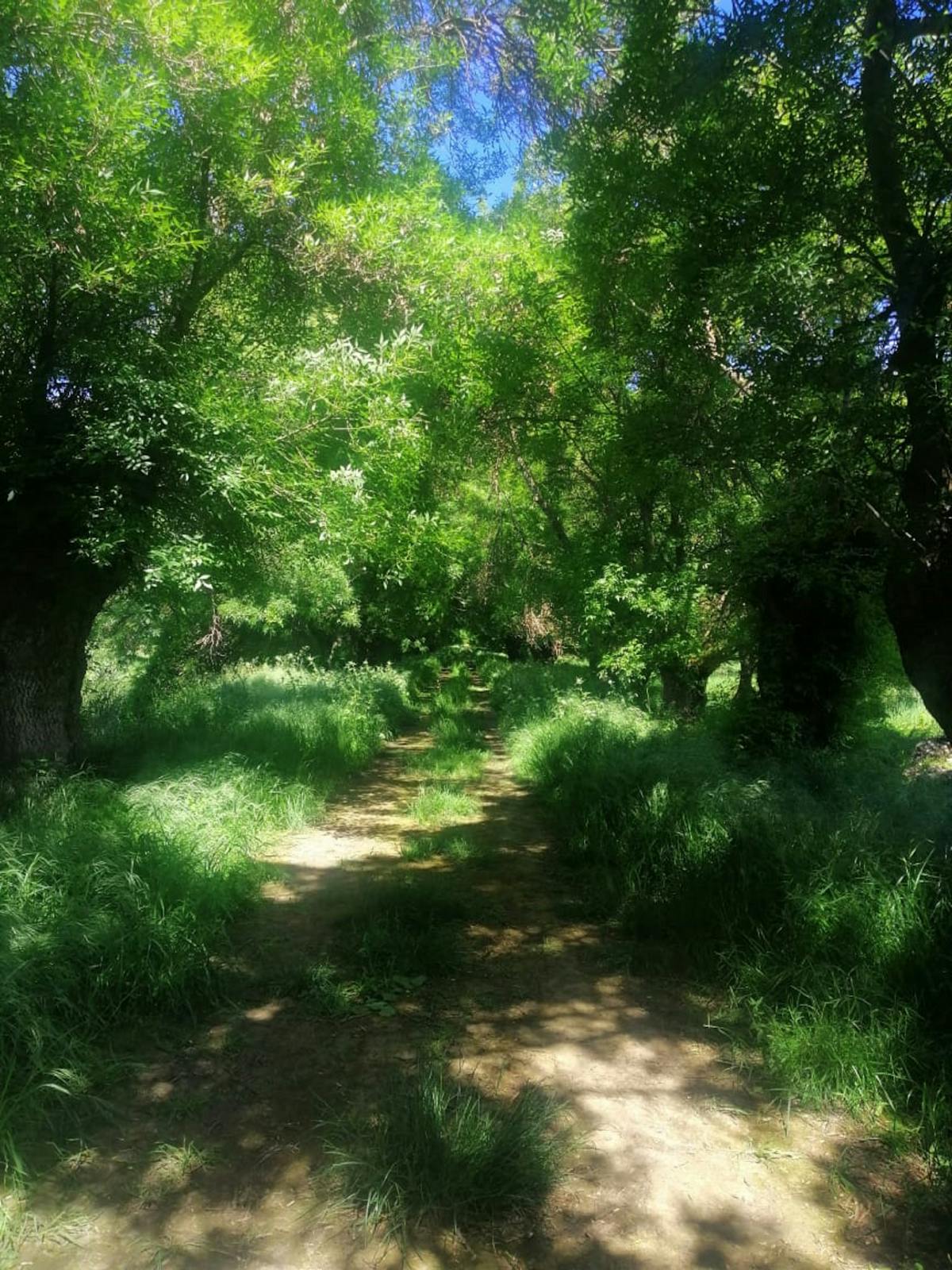 202009185f649e97079cb.jpg