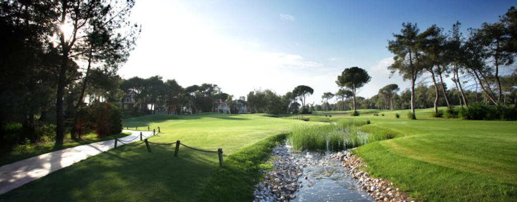 Campo de golf real Montgomerie Maxx